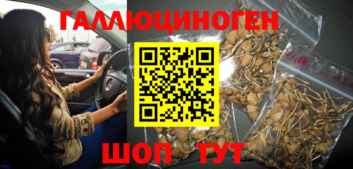 Псилоцибиновые грибы MAGIC MUSHROOMS Мыски