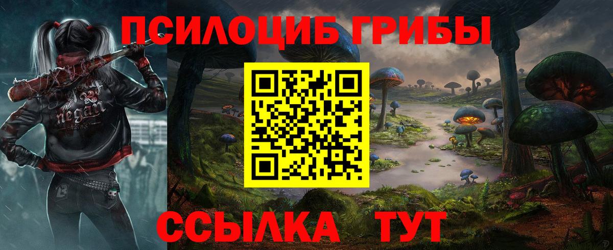 Мыски  Псилоцибиновые грибы Cubensis  Вход с VPN 